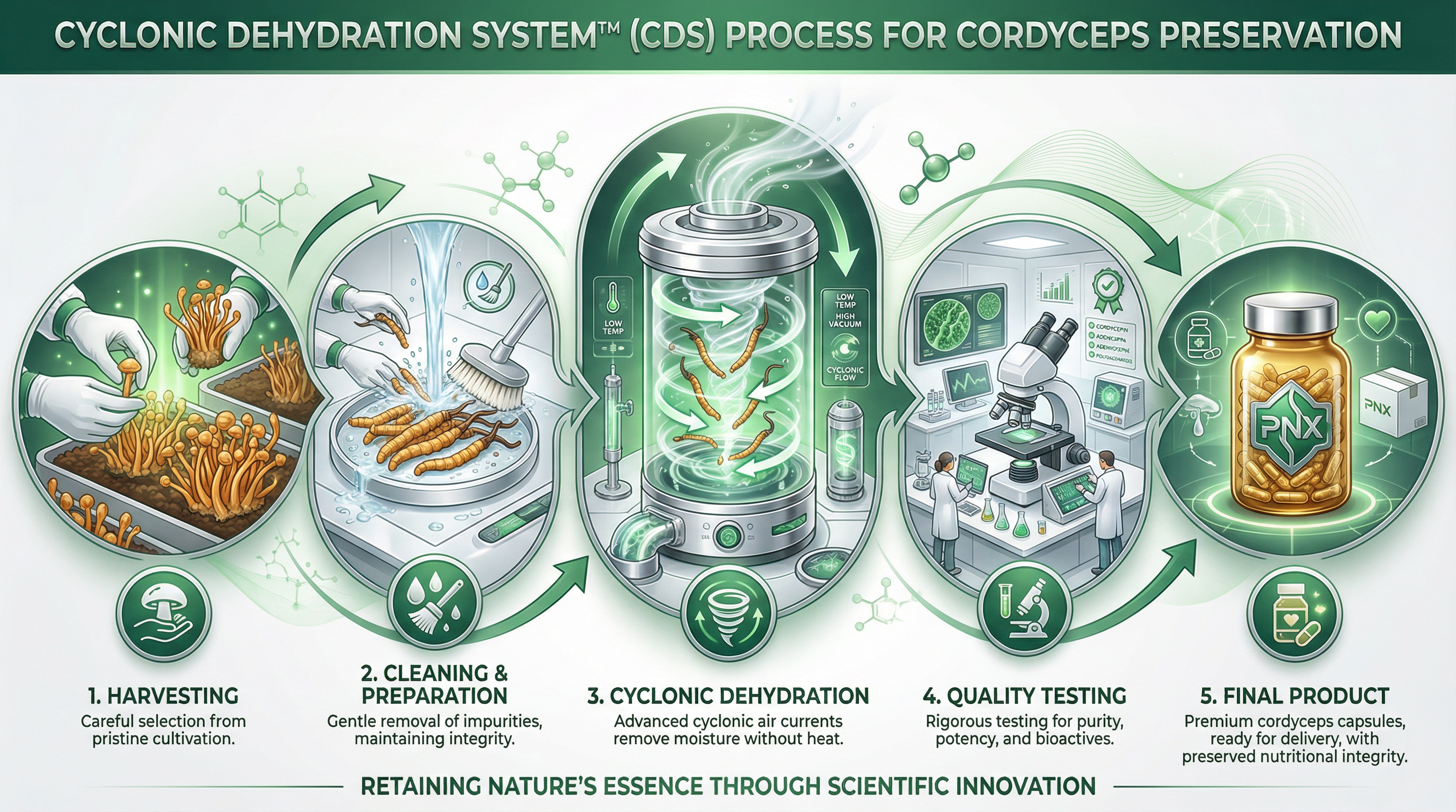 Cyclonic Dehydration System Process