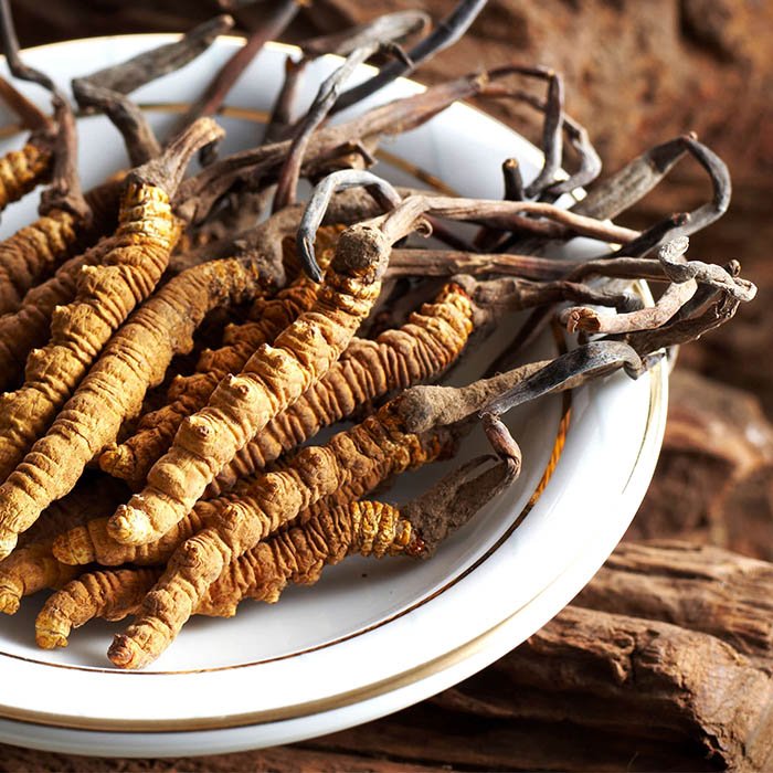 PNX Nutrition Cordyceps